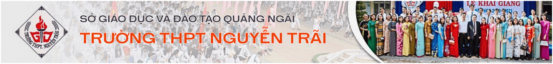 Trường THPT Nguyễn Trãi
